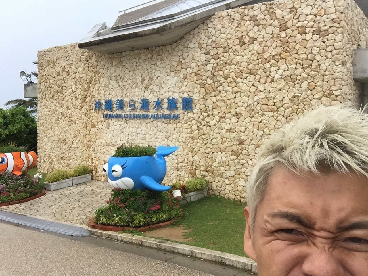 台風の中、沖縄美ら海水族館行ってみた