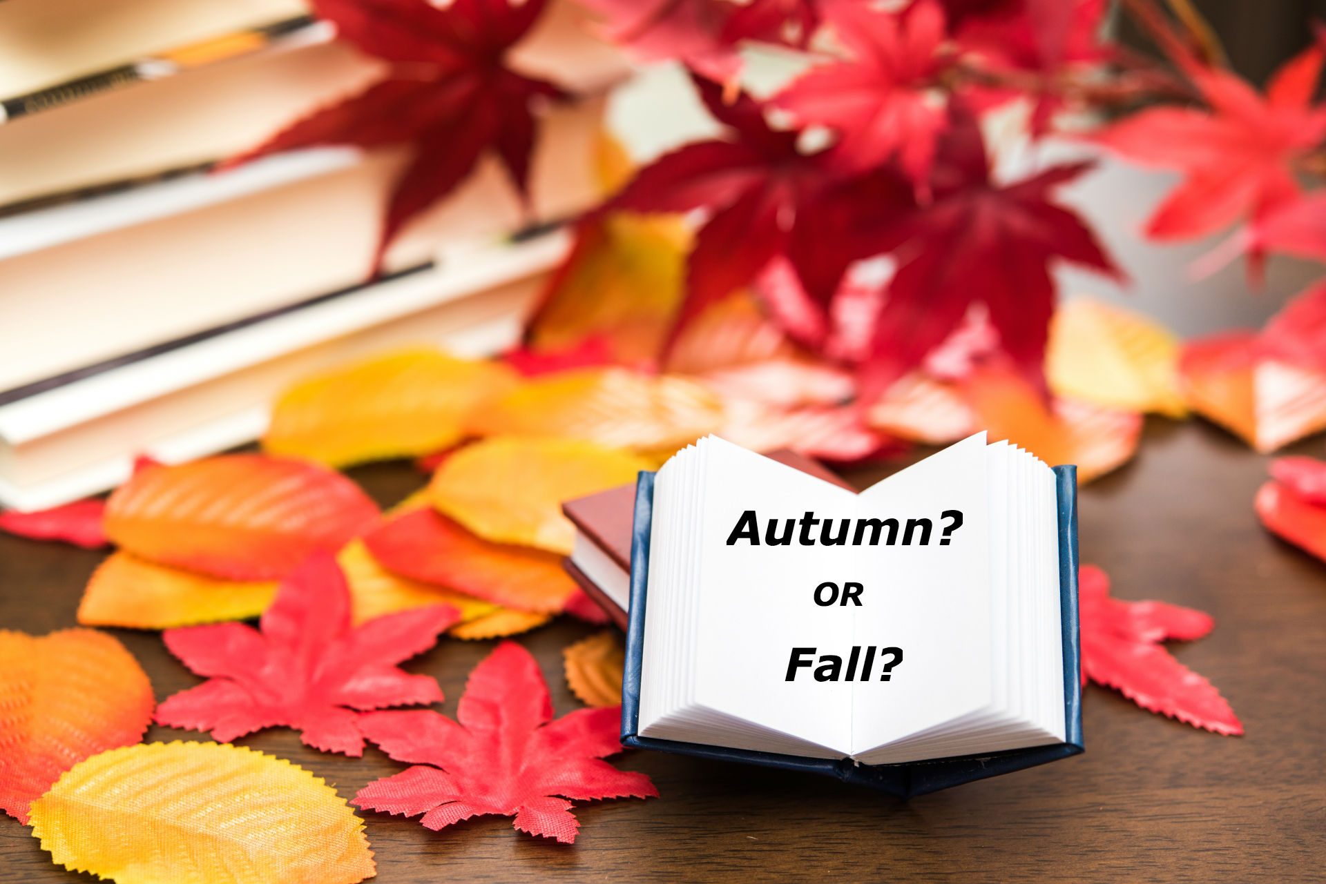 秋は Fall なの Autumn なの どっちなの Plog