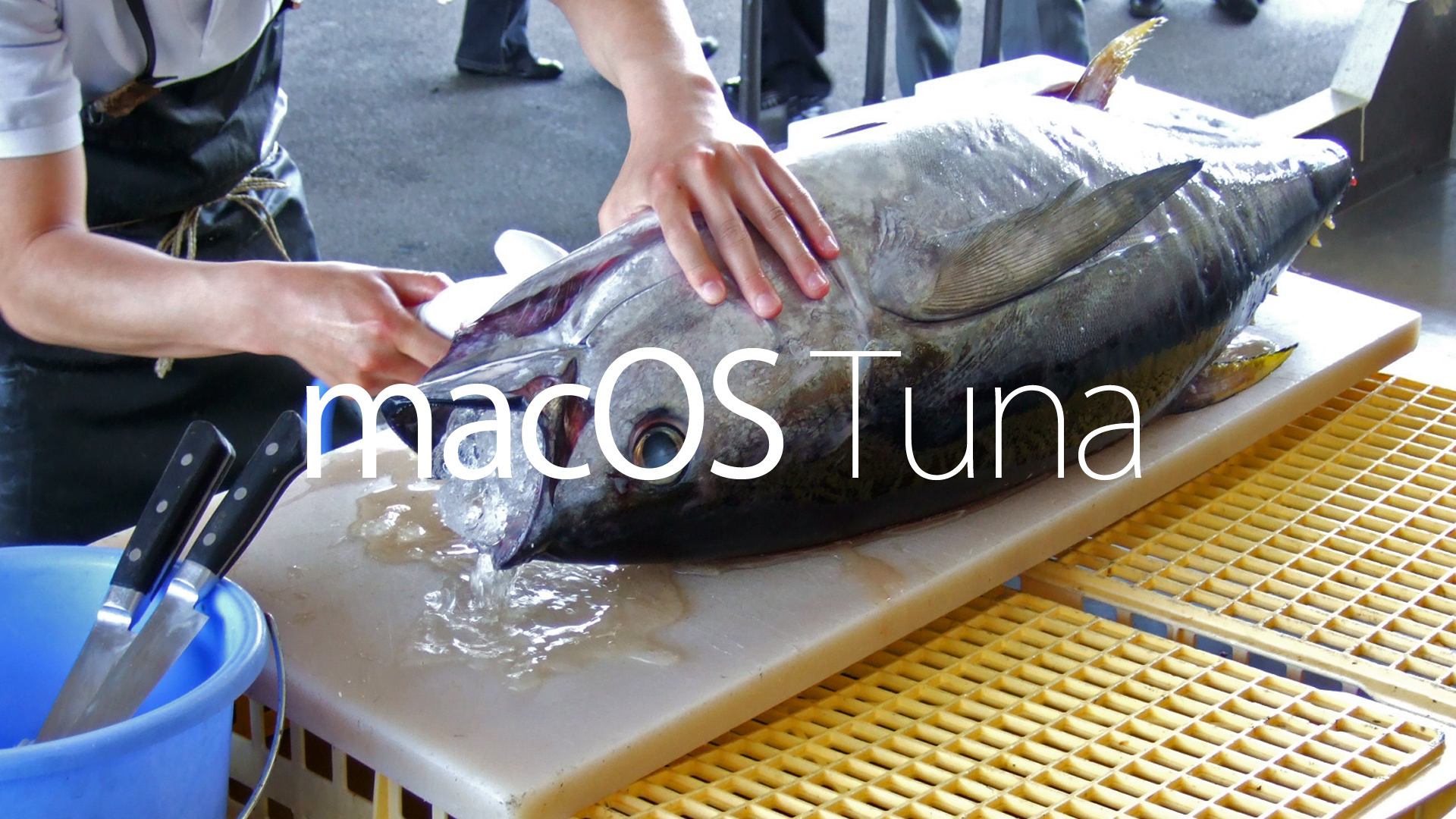 Mac OS Tuna