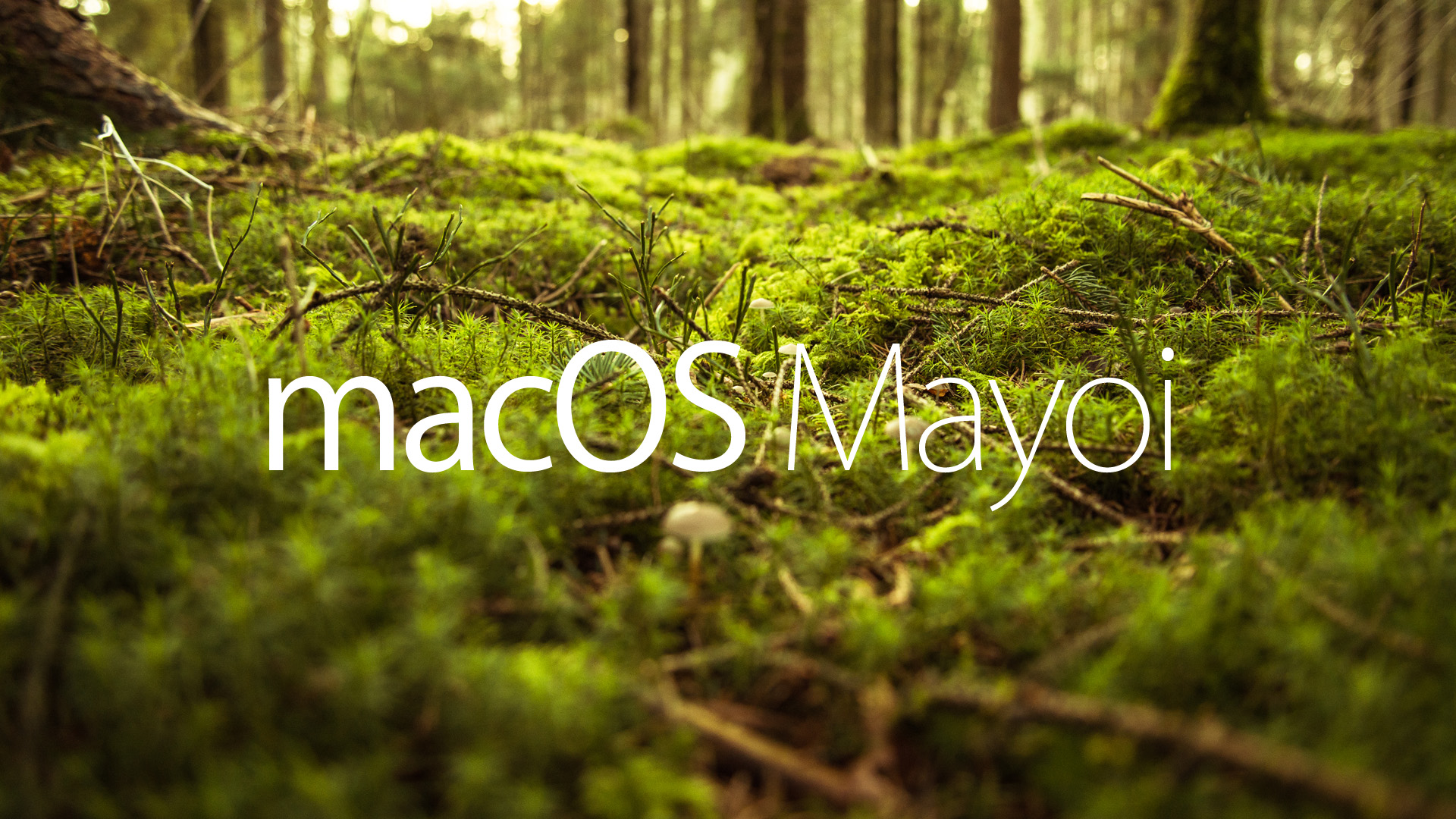 Mac OS Mayoi