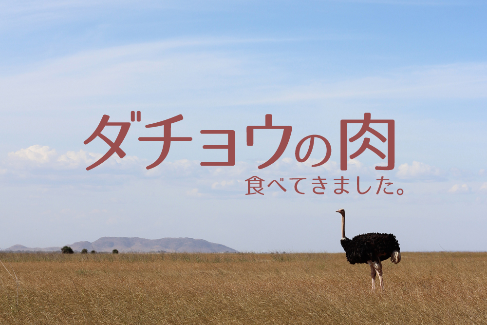 ダチョウの肉はどんな味？刺身やステーキで食べた感想