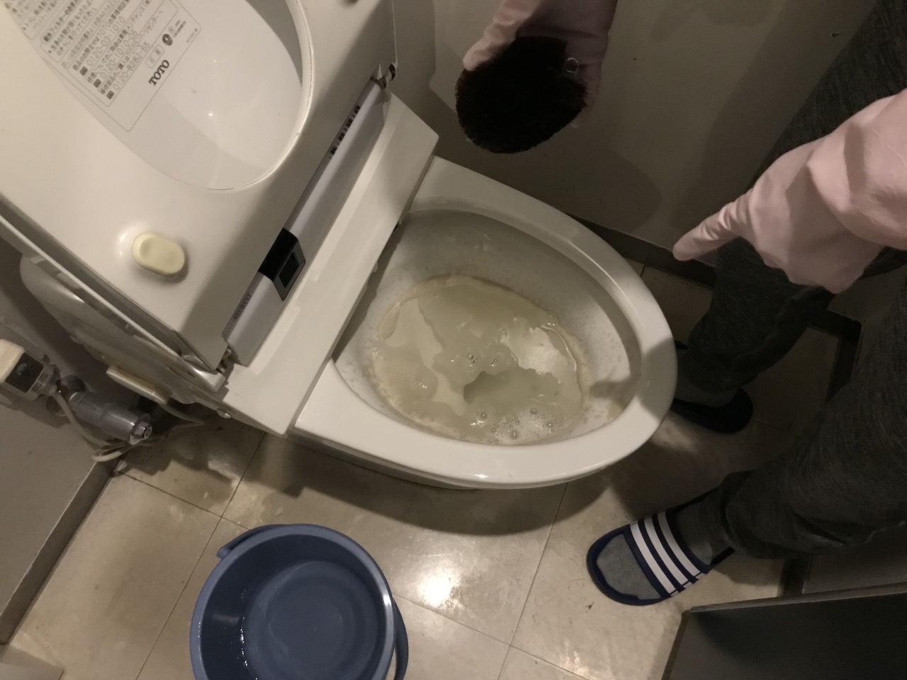 トイレ掃除　アクセス数