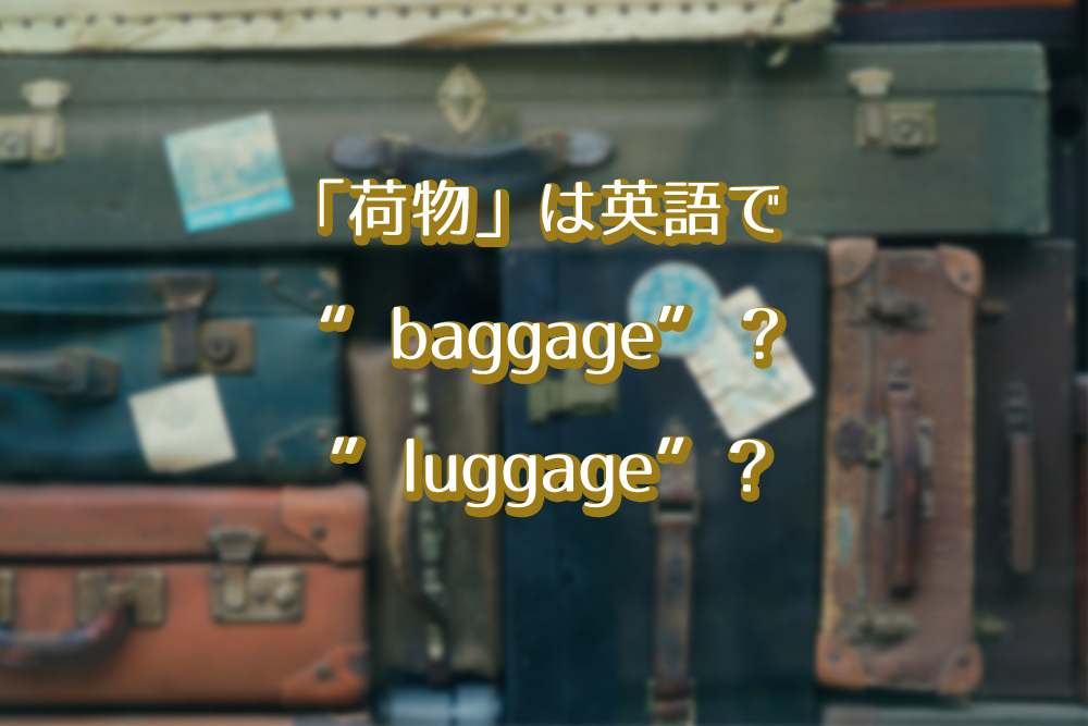 baggage luggage