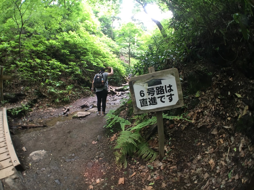 高尾山 6号路 飛び石コース